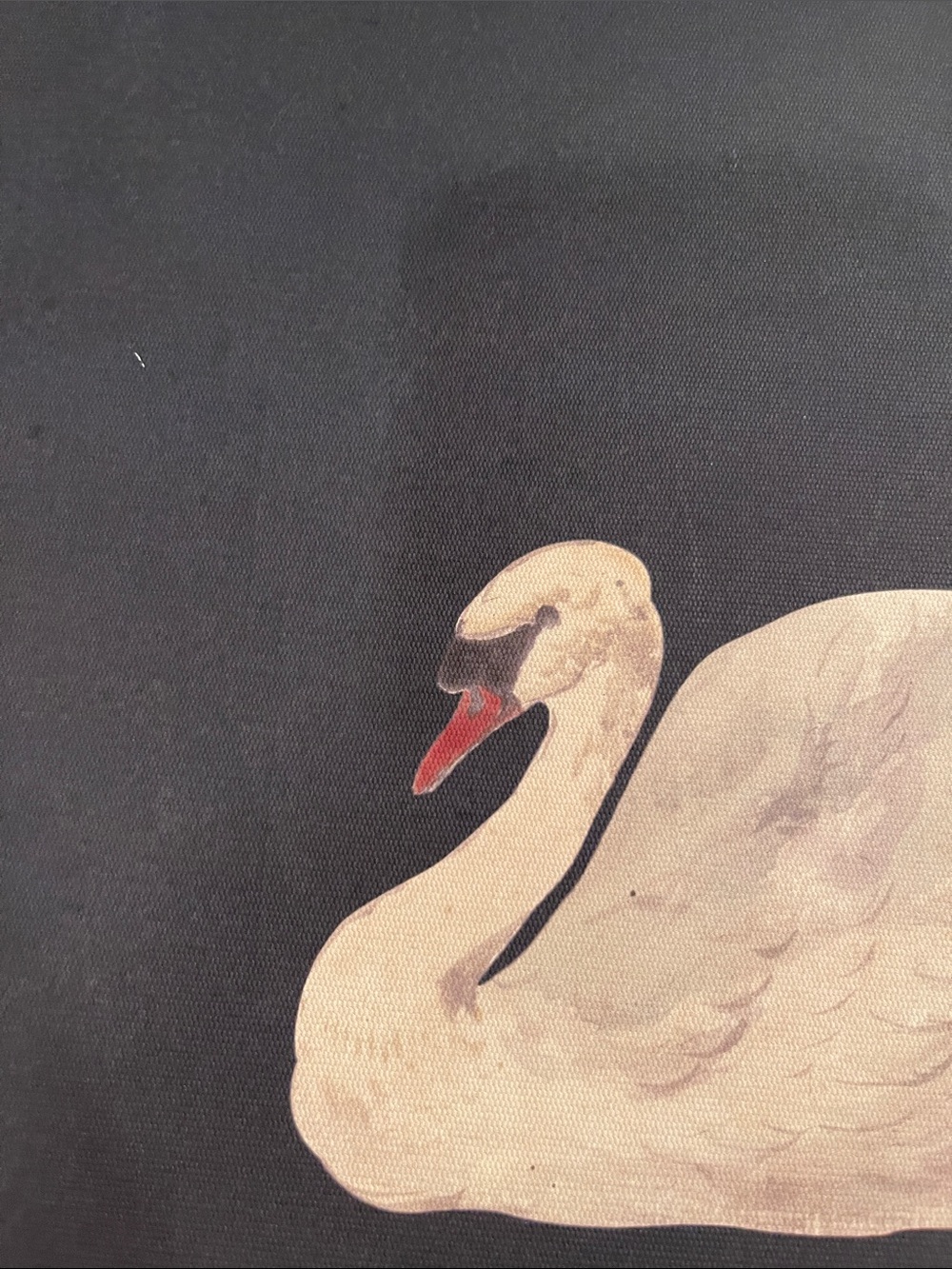 Framed Swan Artwork - Cream Swan on Dark Backgroundy - Picture 12 of 14